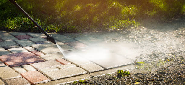 Best Animal Enclosure Cleaning  in Moody, TX